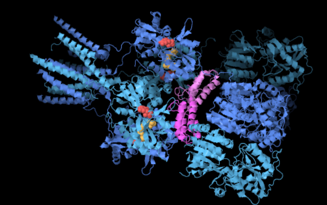 Custom Protein Creation